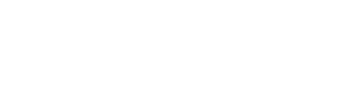 Finnesia